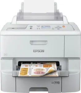 Замена памперса на принтере Epson WF-6090D2TWC в Санкт-Петербурге